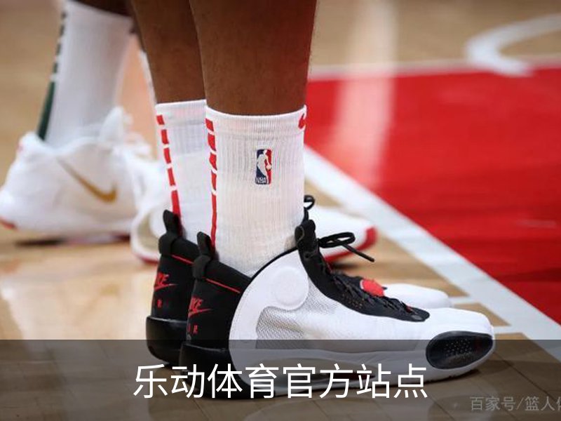 乐动体育官方站点介绍